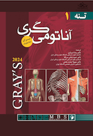 آناتومی گری برای دانشجویان 2024 تنه جلد اول